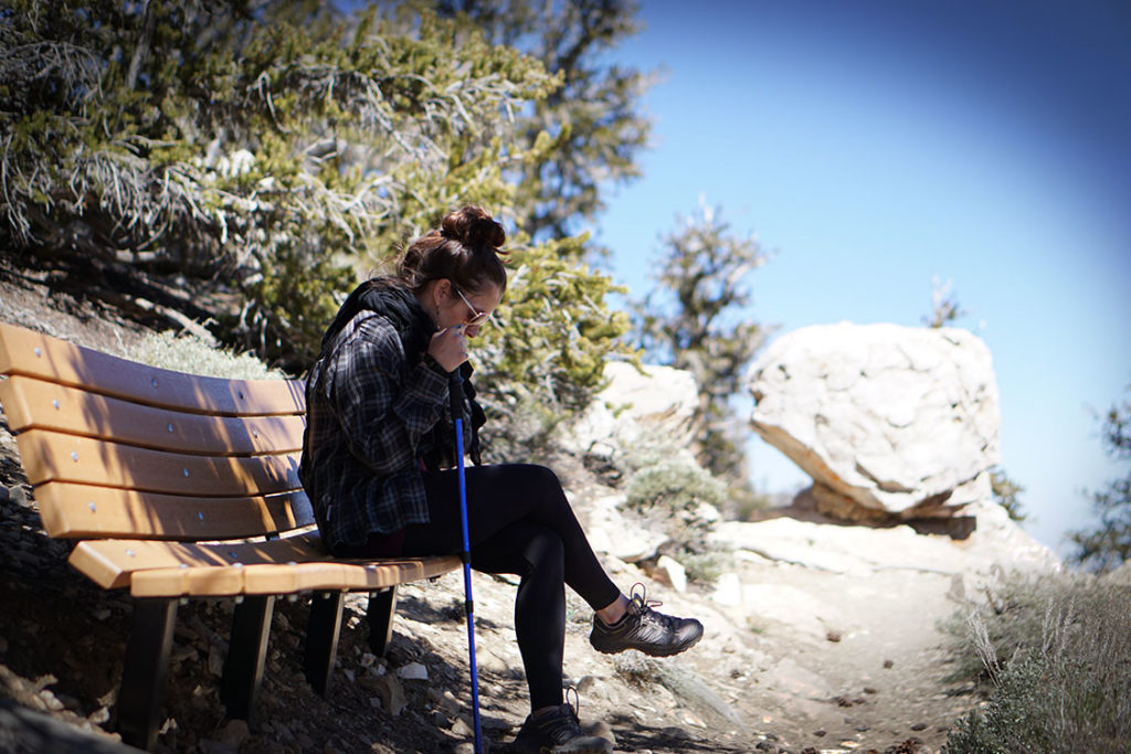 esting upon one of the many pine benches in the Ancient Bristlecone Pine Forest