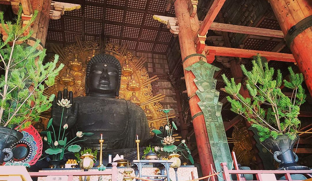 Daibutsu, The largest bronze statue in Japan at Todai-ji Temple from my solo trip to Japan