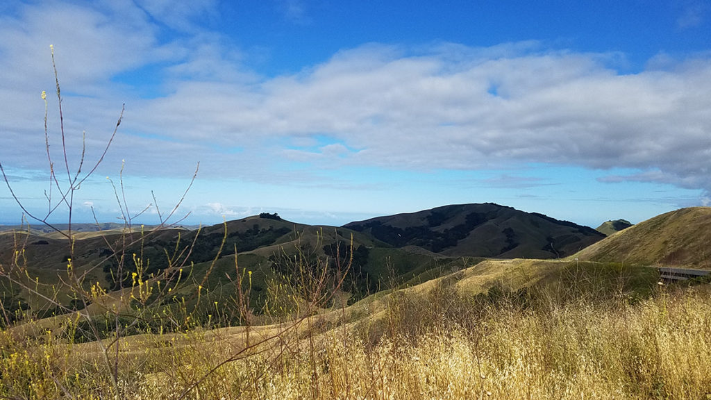 The view from the 46 east going toward Paso Robles