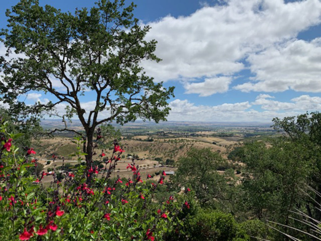 View from Le Cuvier winery in Paso Robles, California