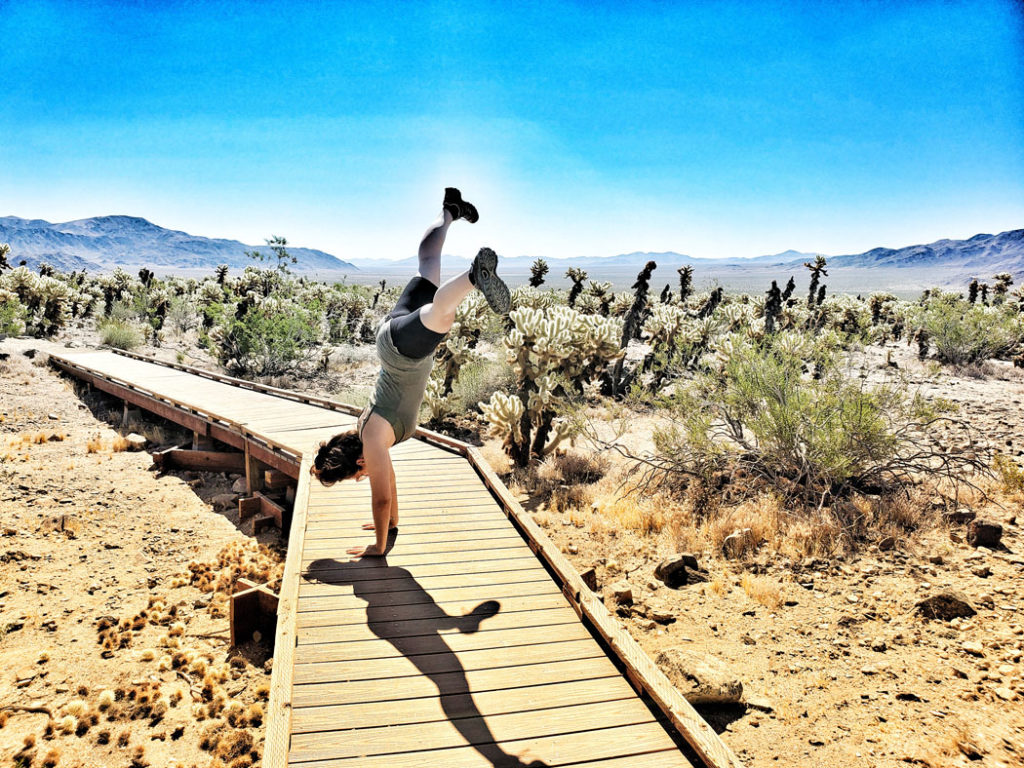 Linds doing a cartwheel in the Cholla Cactus Garden at Joshua Tree National Park