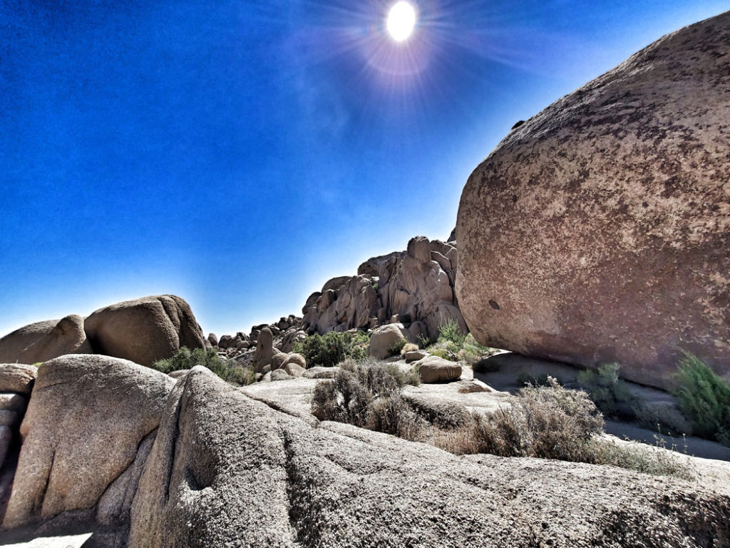 Split Rock Trail in Joshua Tree National Park