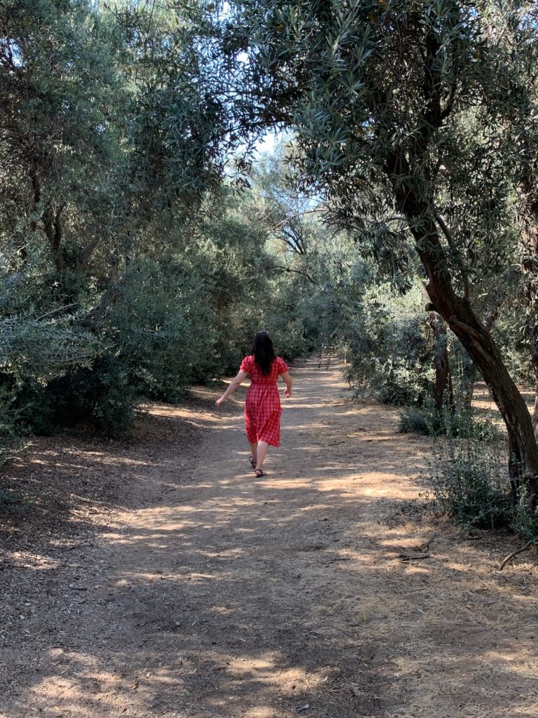 Linds walking in a tunnel of olive trees at the lavender fields