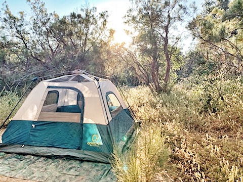 Tent camping in Southern California's wilderness