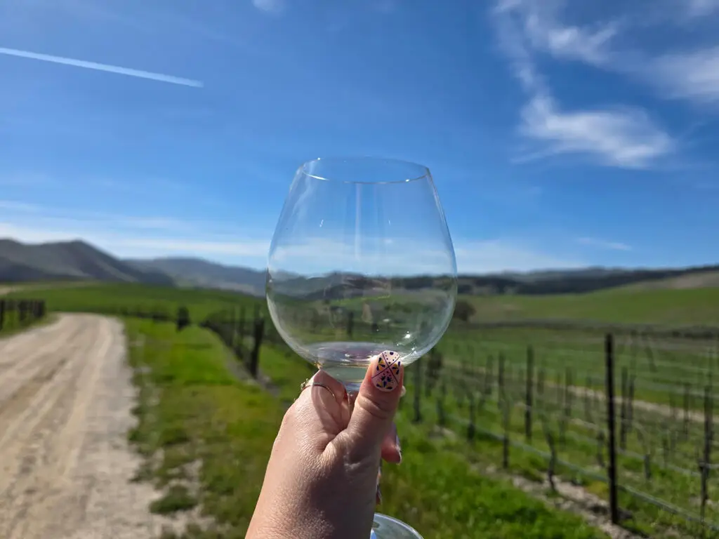 Wine glass held up by hand with vineyard and beautiful blue sky in the background